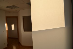 Arca (4)   